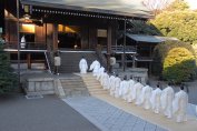 新年祭は元旦午前8時から　(一般の方のご参列可)