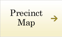 Precinct Map